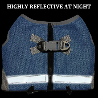 french bulldog cold vest