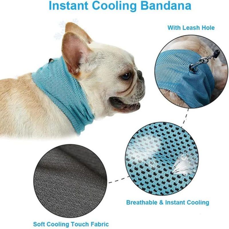 frenchie space shop french bulldog cooling bandana