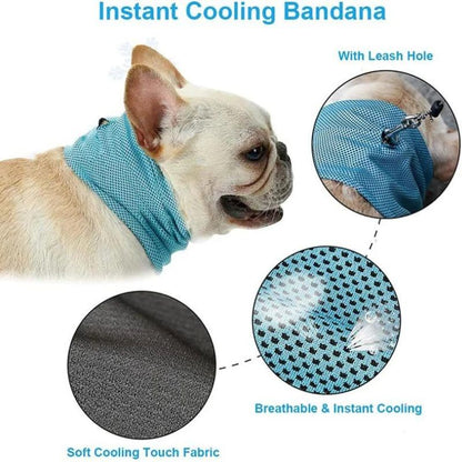 frenchie space shop french bulldog cooling bandana