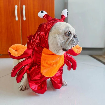 french bulldog crab costume