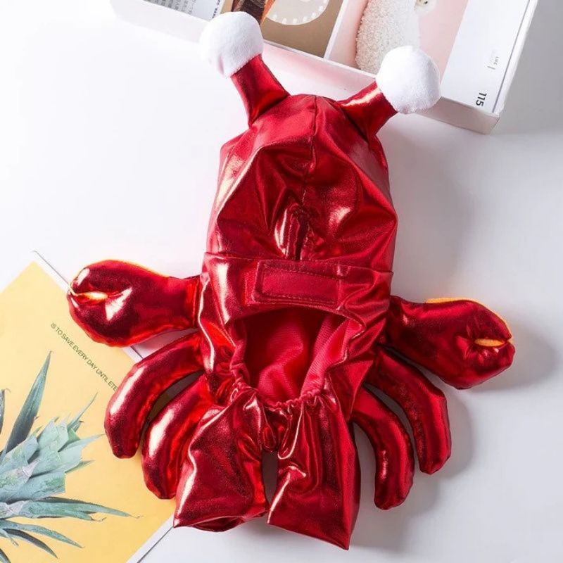 french bulldog crab costume