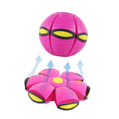 French Bulldog Flying Ball