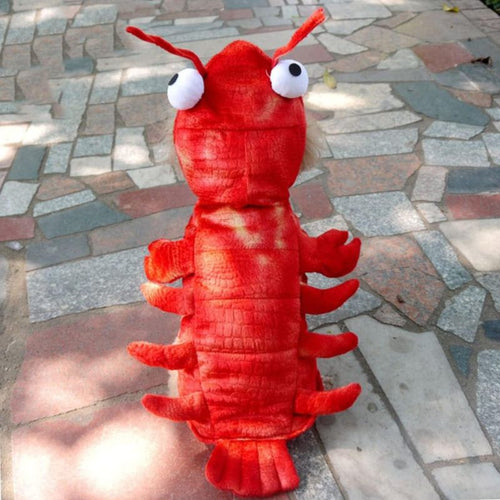 french bulldog lobster costume