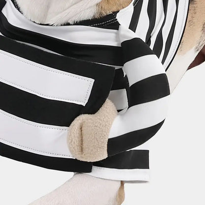 french bulldog prisoner costume