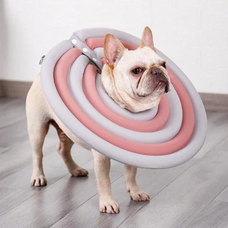 frenchie space shop french bulldog protective e-collar
