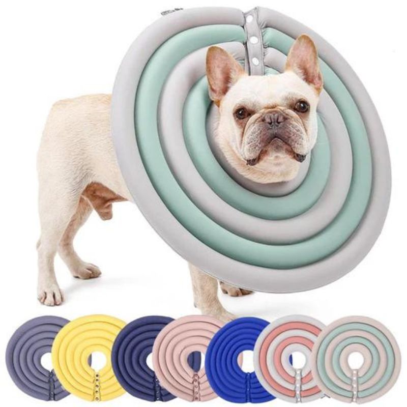 frenchie space shop french bulldog protective e-collar