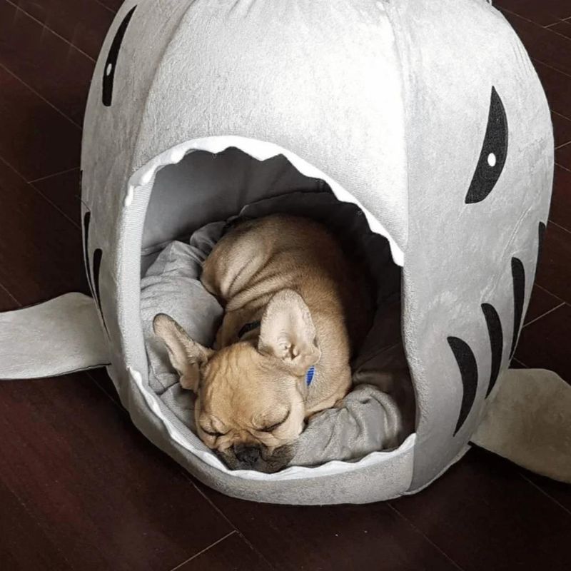 frenchie space shop french bulldog shark bed