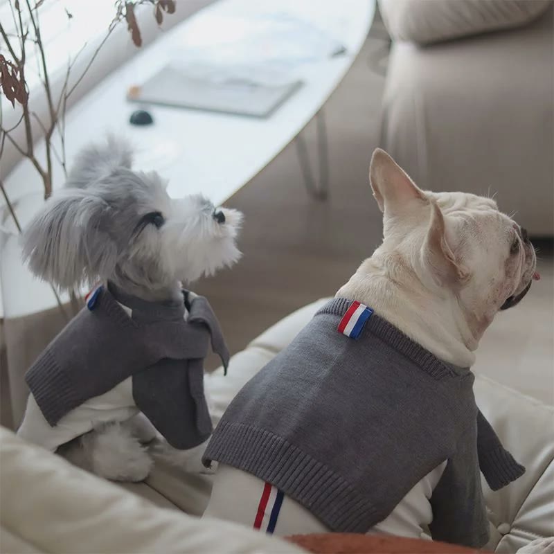 frenchie space shop french bulldog shirt set