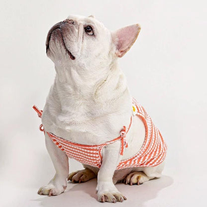 french bulldog summer dress