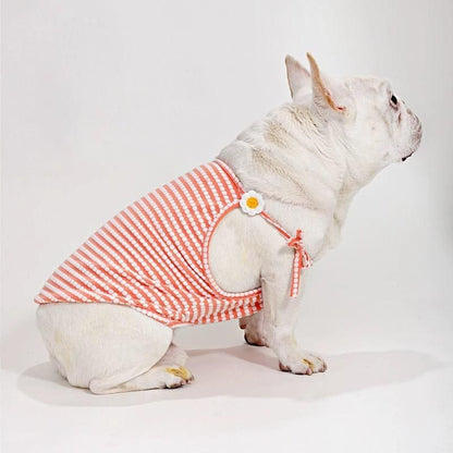 french bulldog summer dress