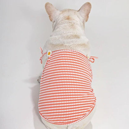french bulldog summer dress