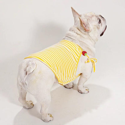french bulldog summer dress