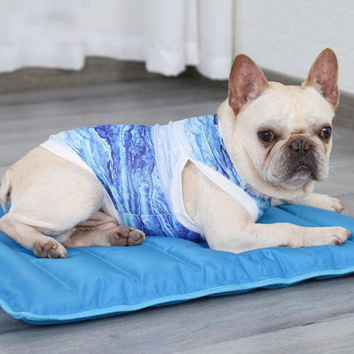 frenchie space french bulldog summer vest