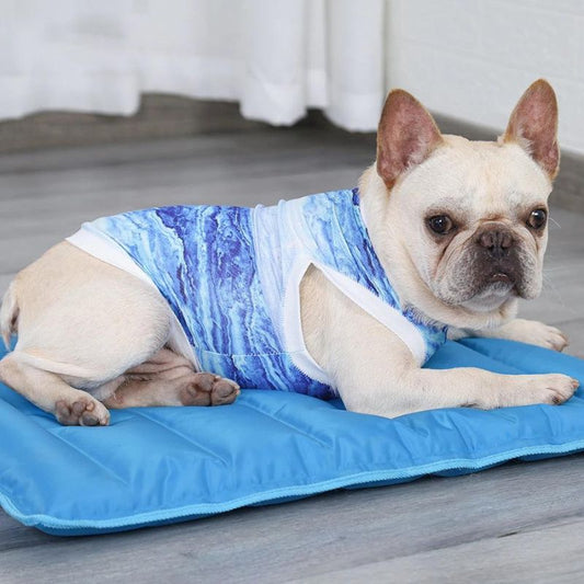 frenchie space french bulldog summer vest