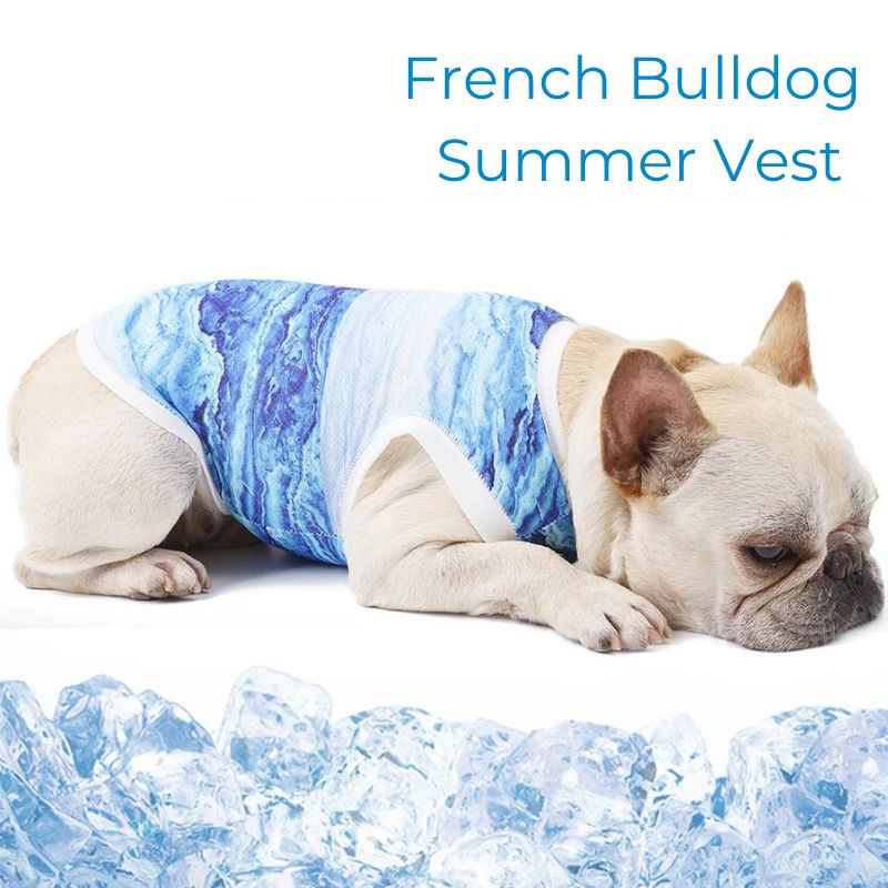 frenchie space french bulldog summer vest