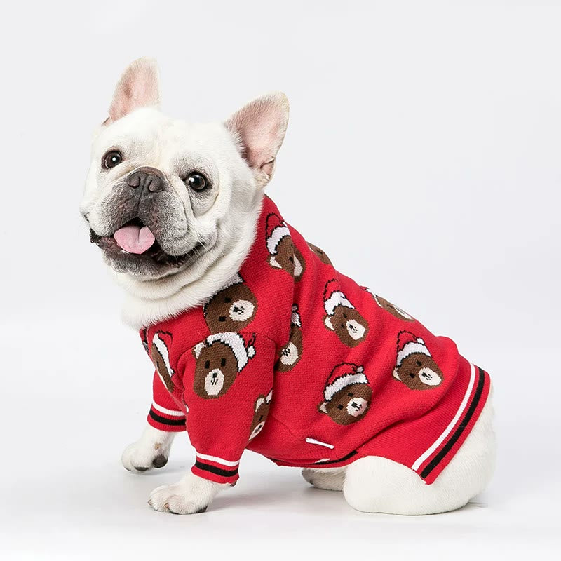 french bulldog teddy cardigan