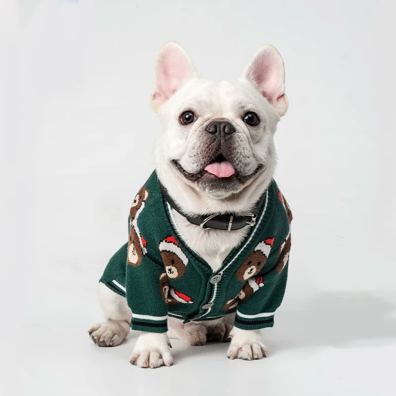 french bulldog teddy cardigan