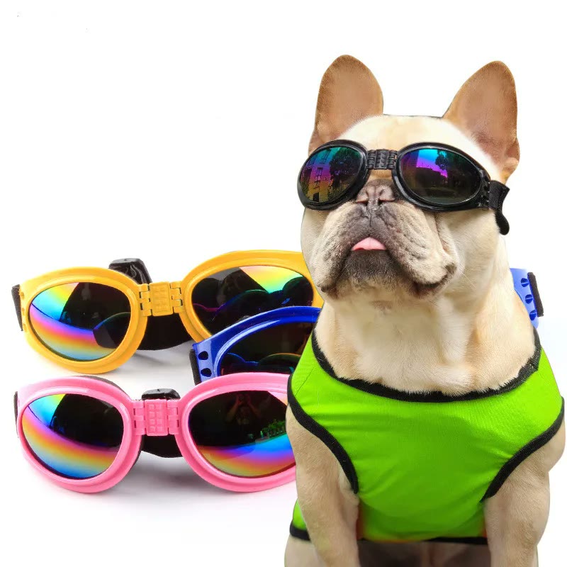 frenchie space shop fench bulldog uv sunglasses