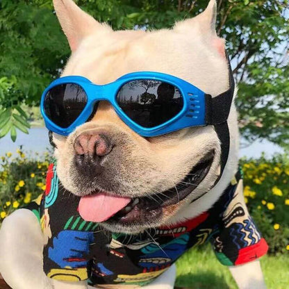 frenchie space shop fench bulldog uv sunglasses