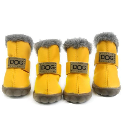 french bulldog winter boots