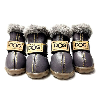 french bulldog winter boots