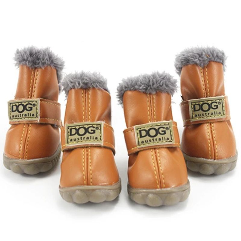 french bulldog winter boots