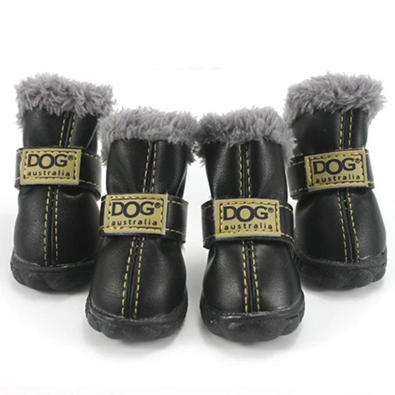 french bulldog winter boots