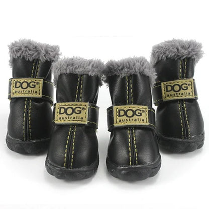 french bulldog winter boots