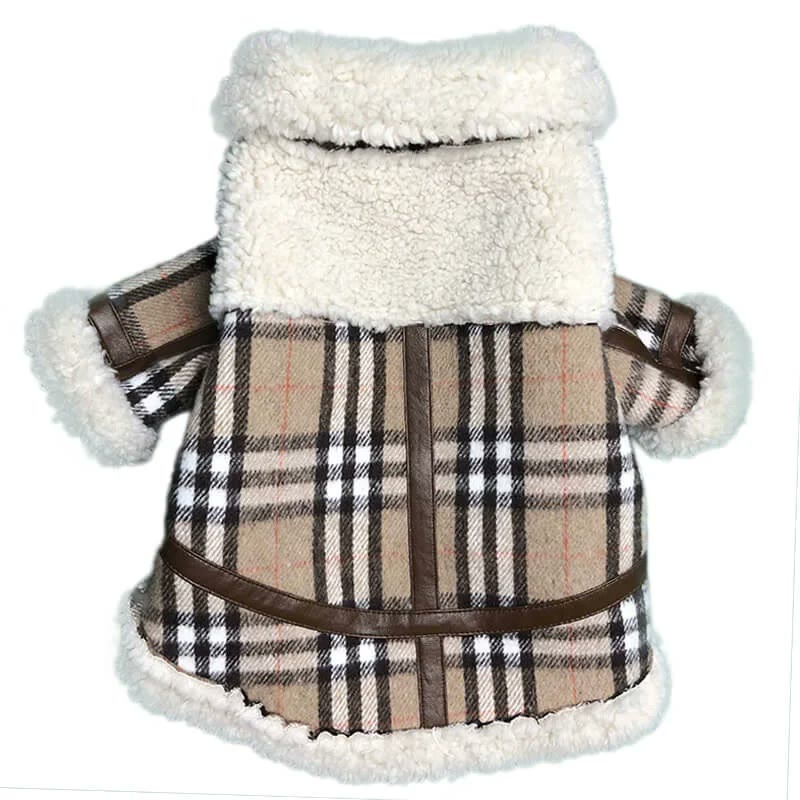 frenchie space shop frenchberry french bulldog coat