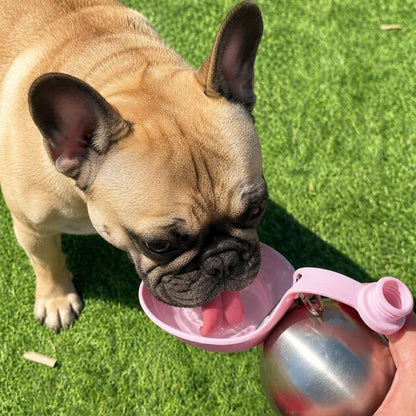 Frenchie ChillSip Water Bottle