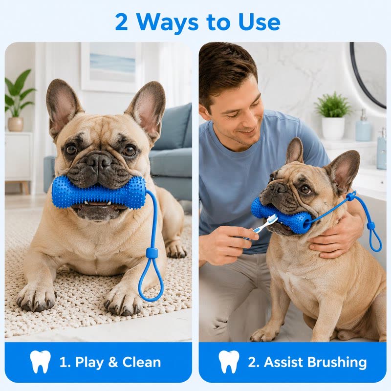 Two ways to use the dental chew stick, free chewing and assisted brushing