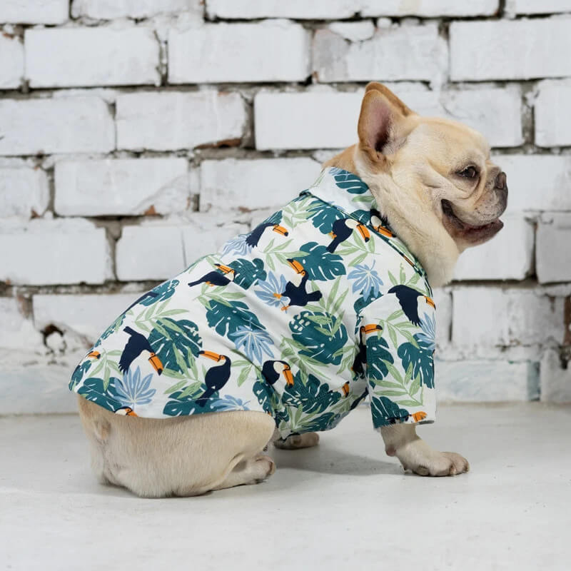 frenchie flower garden shirt