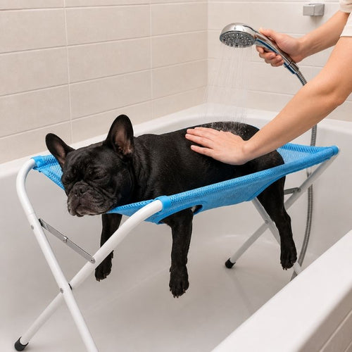 frenchie grooming hammock stand