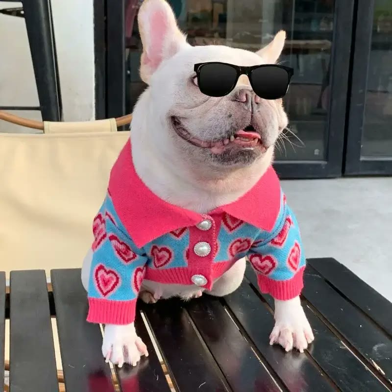 frenchie space shop frenchie romance sweater