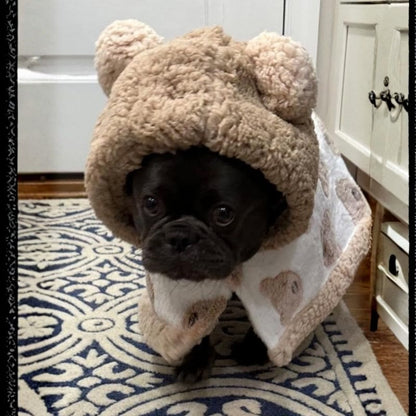 frenchie teddy snuggle coat