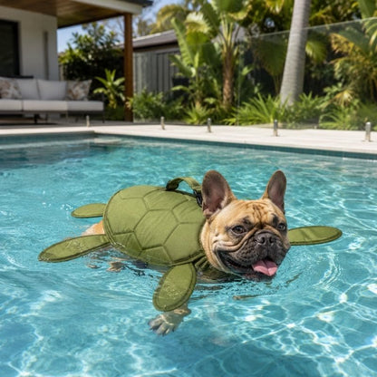 frenchie turtle life jacket