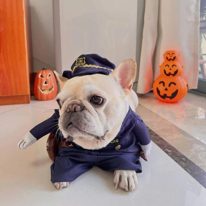 frenchie space shop frenchielice french bulldog costume