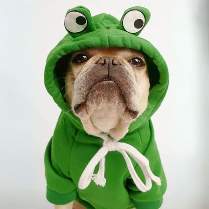 frenchie space shop froggy doggy frenchie hoodie