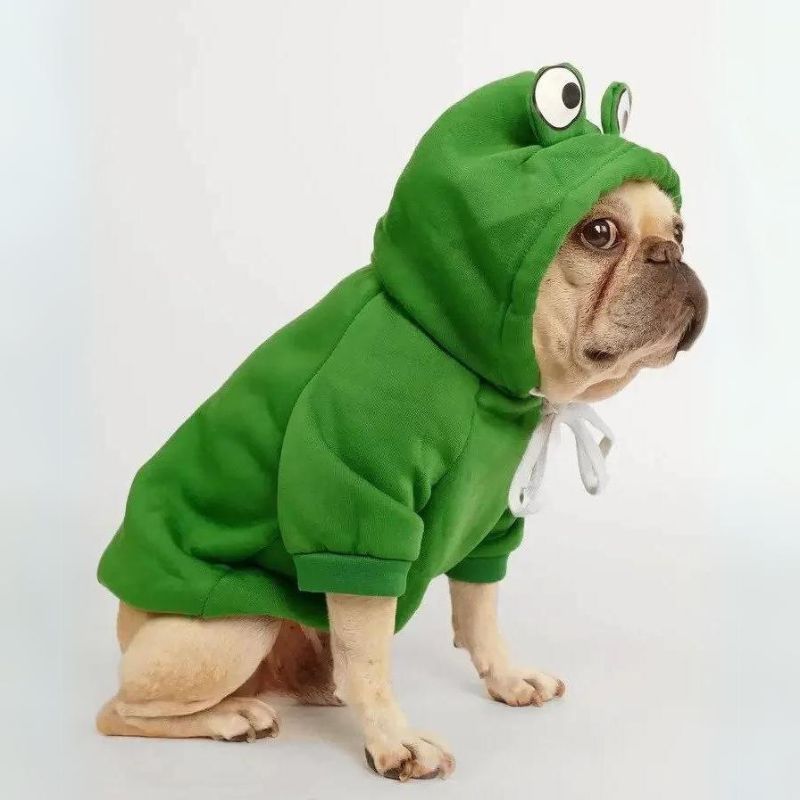 frenchie space shop froggy doggy frenchie hoodie