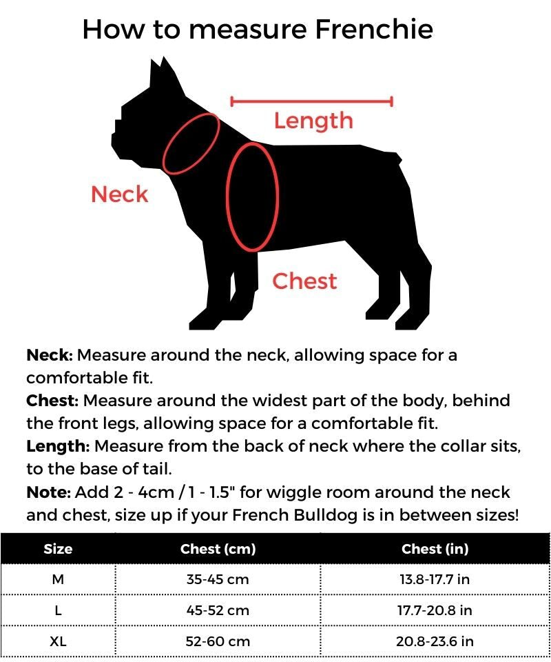 Guitar Player Frenchie Costume size guide