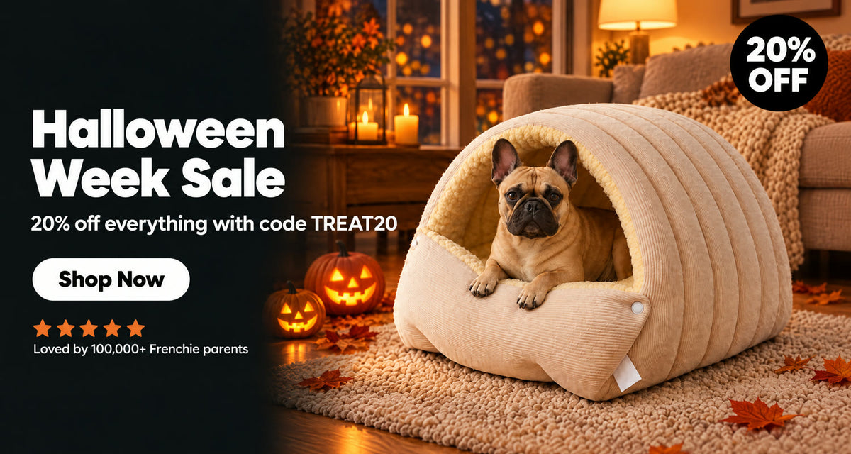 Frenchie Space Halloween Week Sale banner desktop