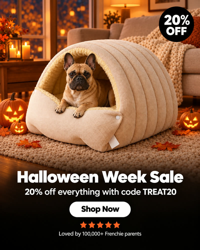 Frenchie Space Halloween Week Sale banner mobile