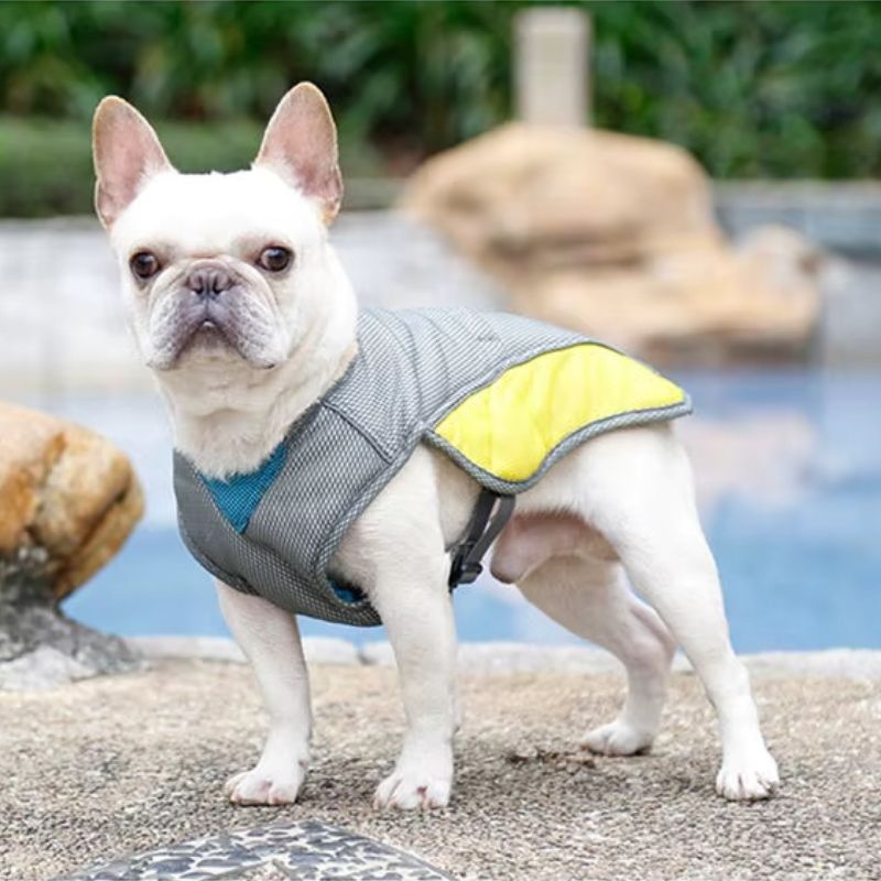 heat relief french bulldog vest