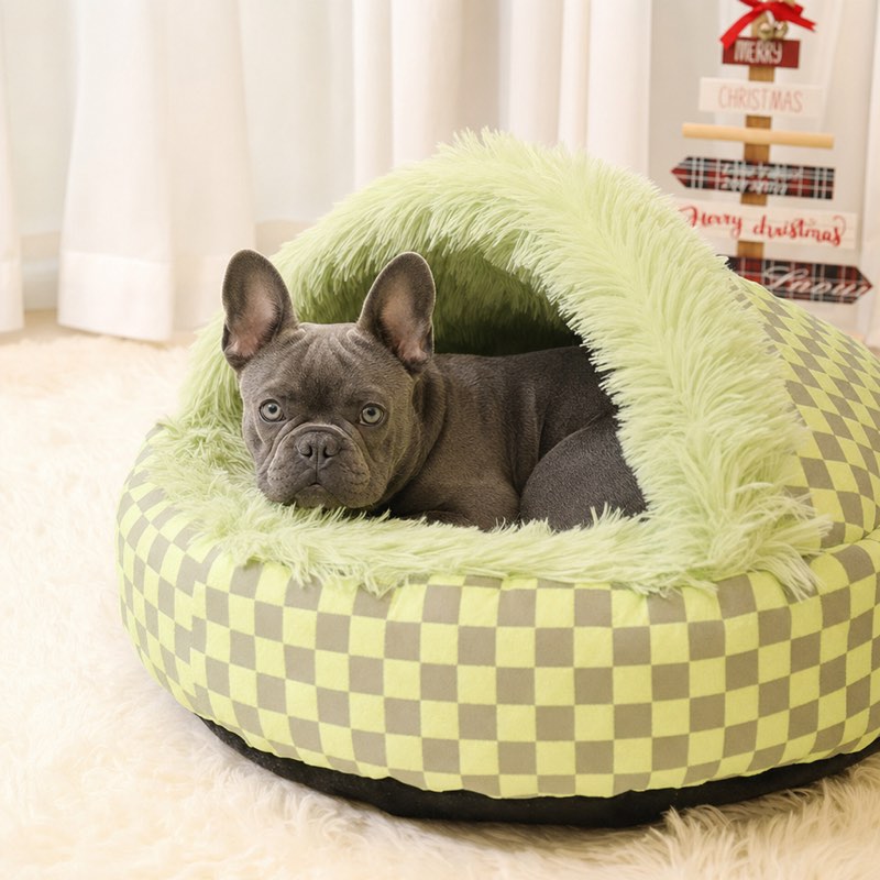 French Bulldog resting under the plush hood of the green Hooded Frenchie Donut Bed