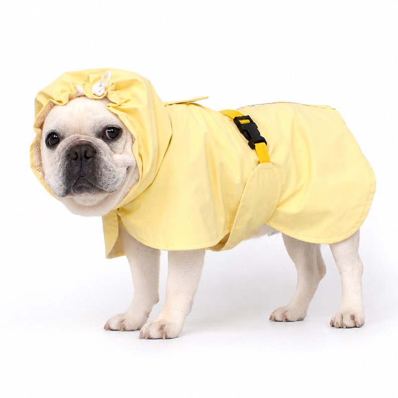 Hooded Frenchie Rain Poncho