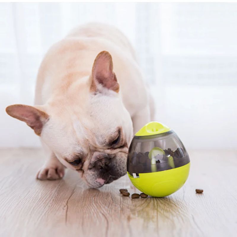 interactive french bulldog egg