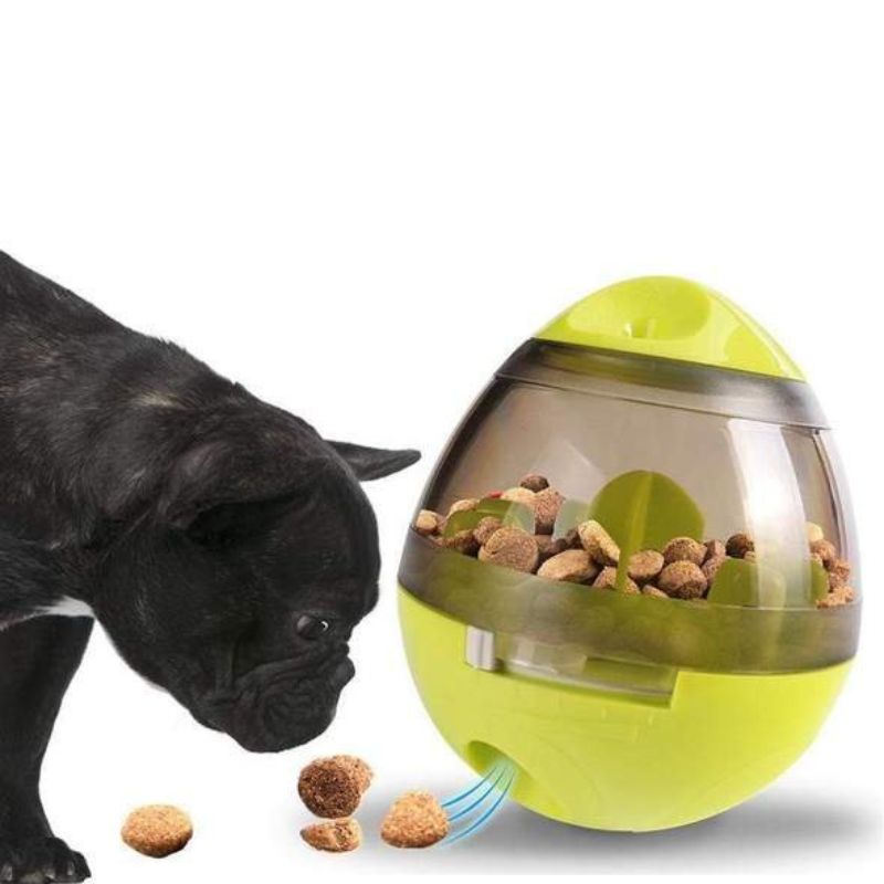 interactive french bulldog egg