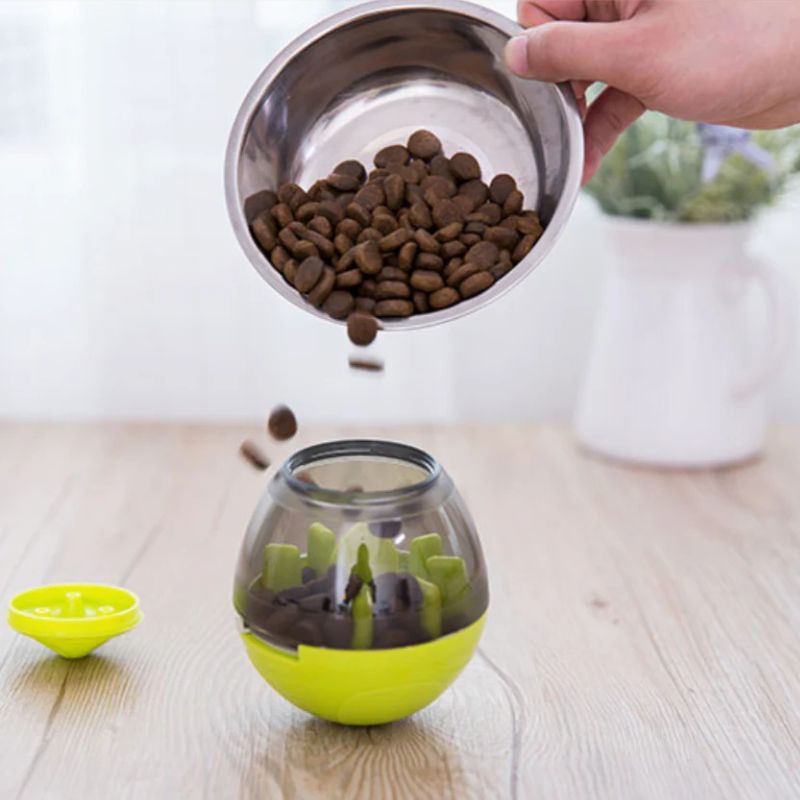 interactive french bulldog egg