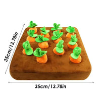 12 carrots
