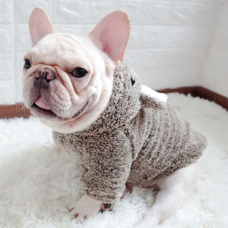 frenchie space shop koala french bulldog hoodie